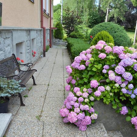 Penzion Ostravanka Hranice  Exterior photo
